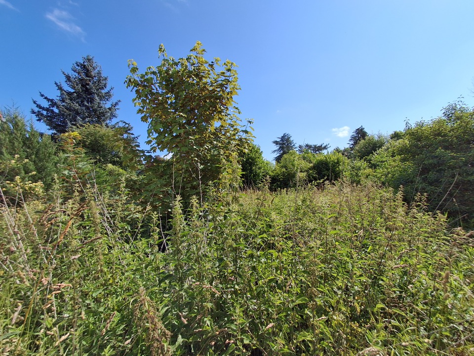 terrain de 673m2 en vente à Le Plessis-Luzarches (95270)