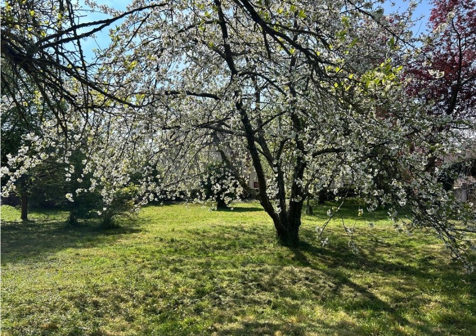 terrain à vendre viabilisé disponible à Le Mesnil-Saint-Denis