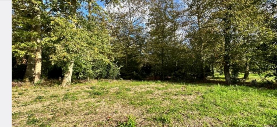terrain à construire viabilisé en vente à Montcourt-Fromonville