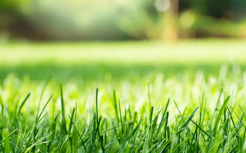 terrain constructible disponible à Bry-sur-Marne