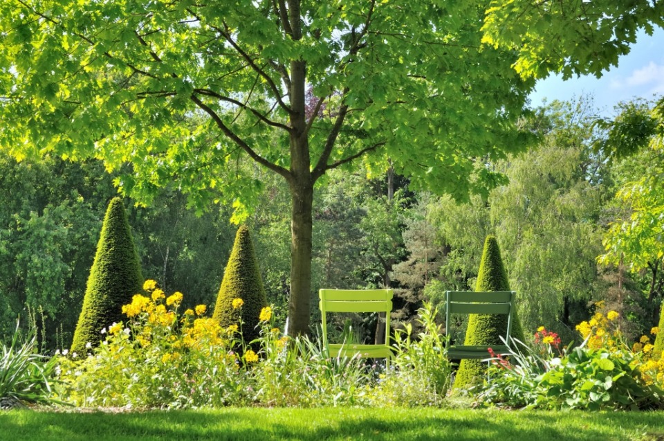 Sublime terrain à batir viabilisé à Pomponne