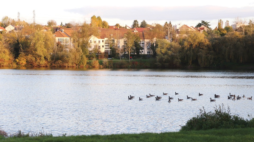 Sublime terrain à vendre viabilisé de 423m2 en vente à Longpont-sur-Orge (91310)