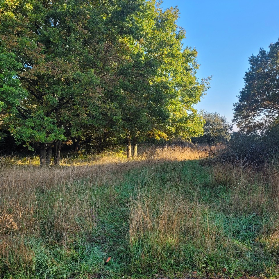 Charmant terrain à construire à Tigeaux