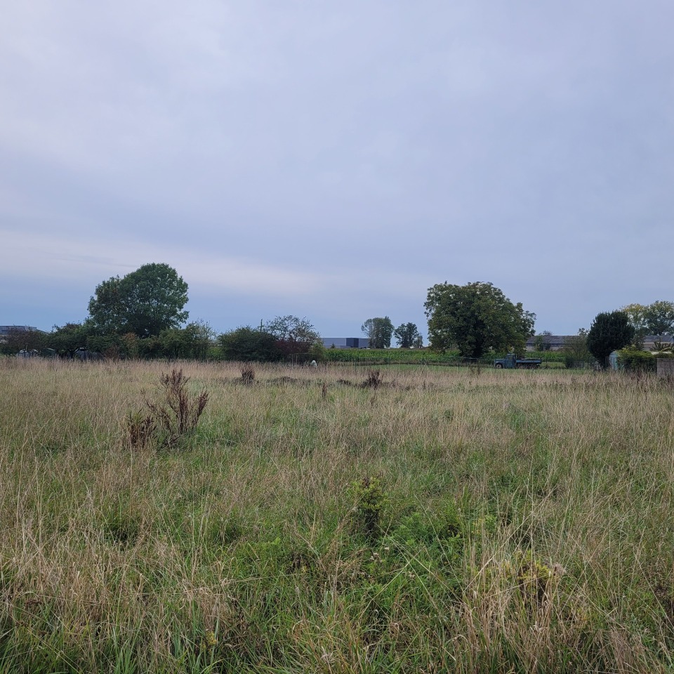 Très beau terrain à construire viabilisé à Réau