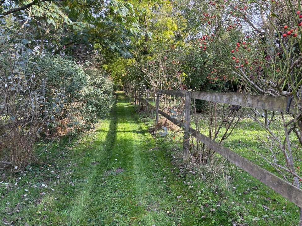 Agréable terrain à construire disponible à Thoiry