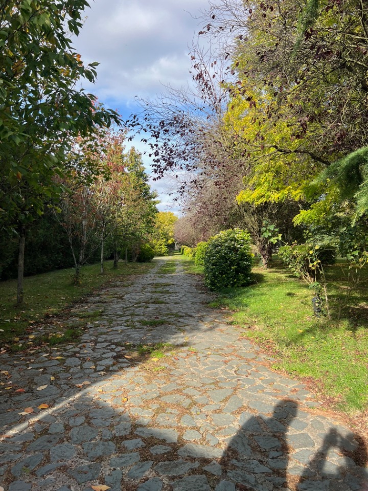 terrain constructible viabilisé de 419m2 disponible à Beynes