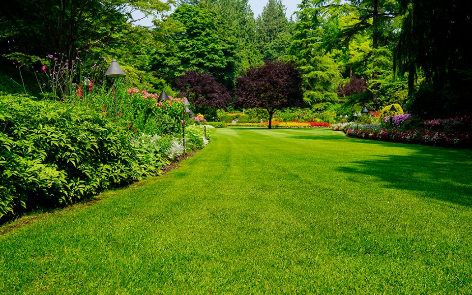 terrain constructible viabilisé en vente à Coupvray