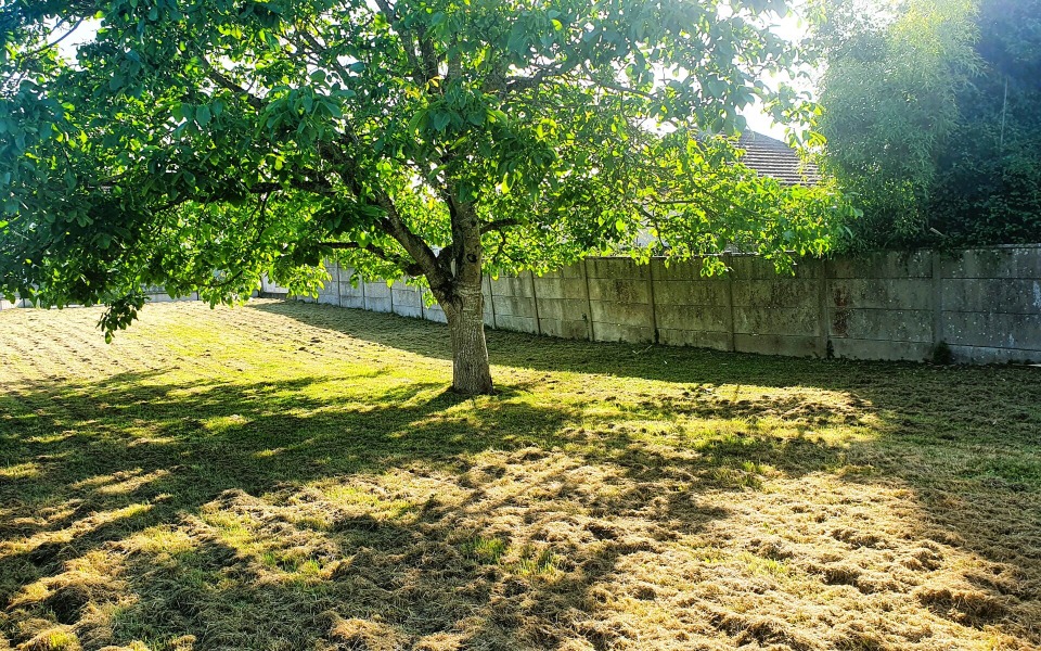 Acheter un terrain viabilisé à Chaumes-en-Brie