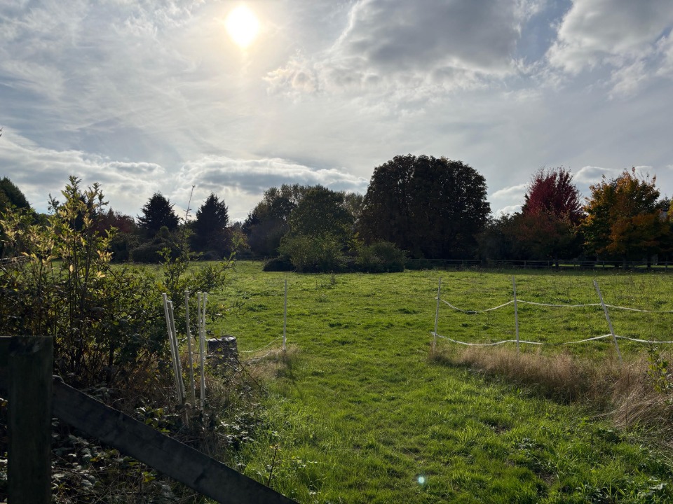 terrain à vendre viabilisé de 500m2 disponible à Maule (78580)
