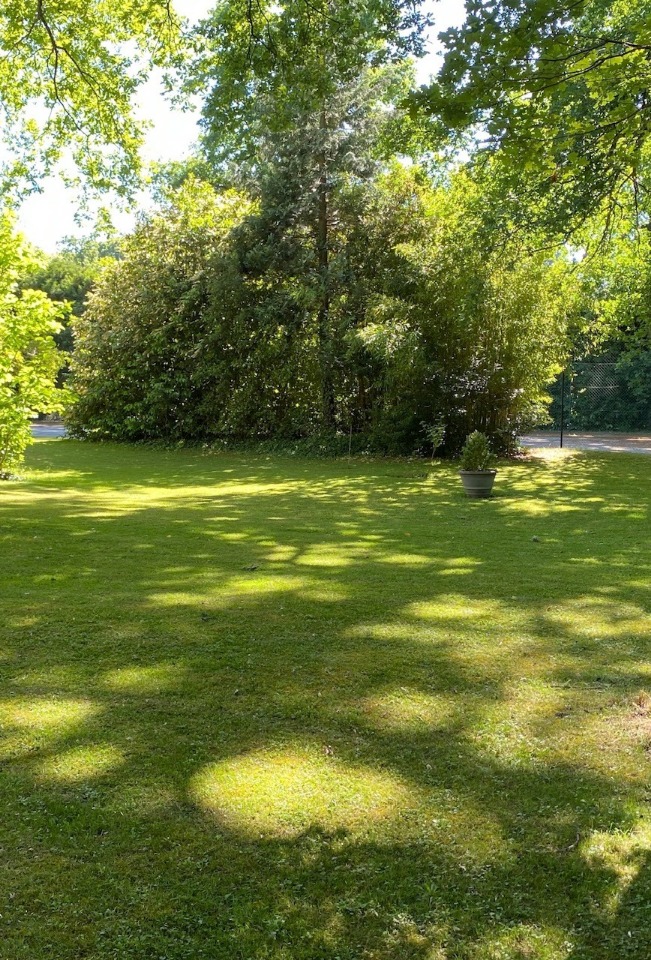 Beau terrain en vente à Maule