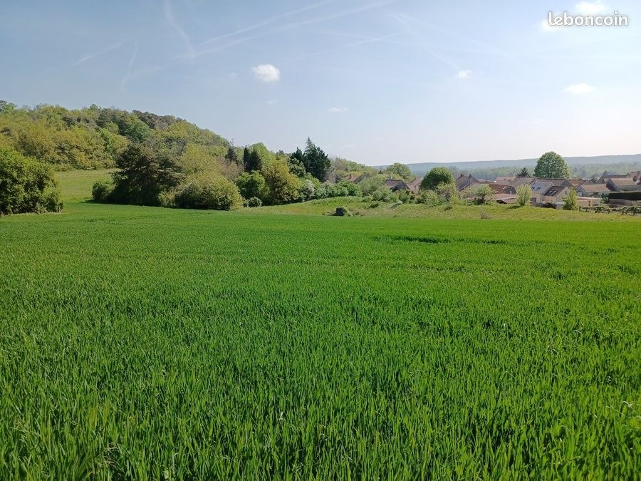 Beau terrain constructible de 2600m2 en vente à Gambais