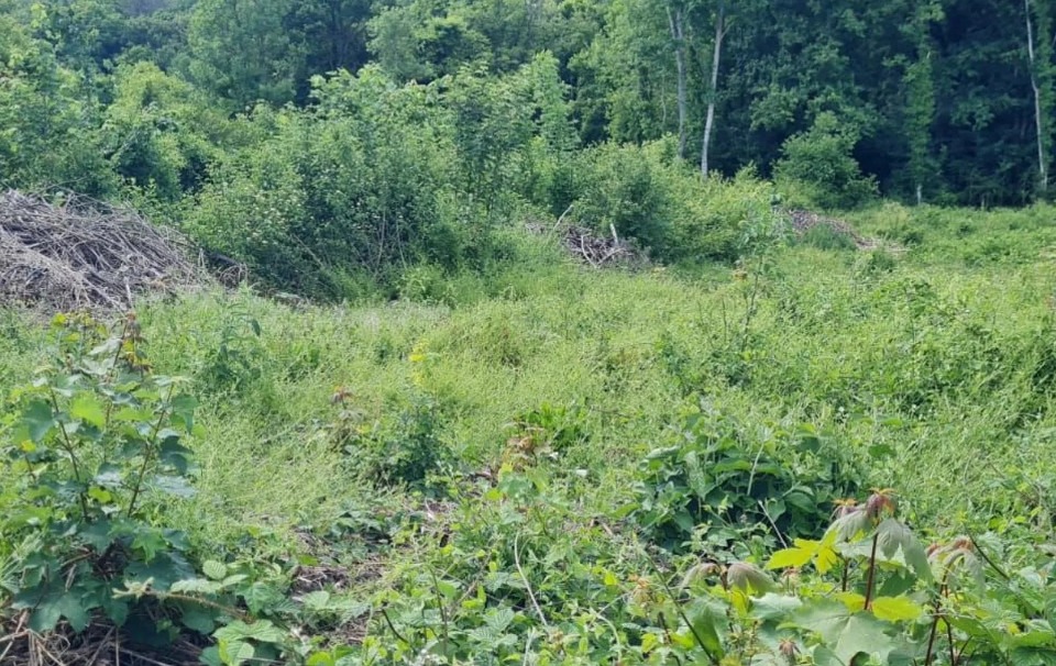 terrain à construire viabilisé de 577m2 en vente à Mary-sur-Marne (77440)