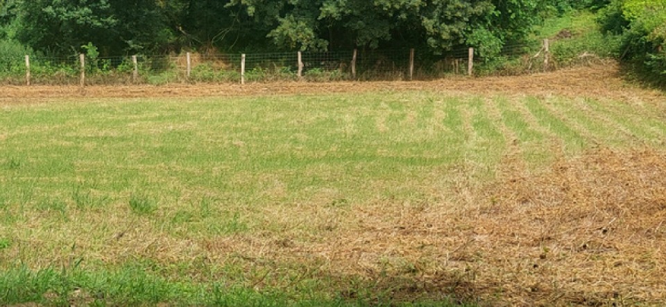 Parcelle de terrain à batir viabilisé de 1660m2 disponible à Faÿ-lès-Nemours