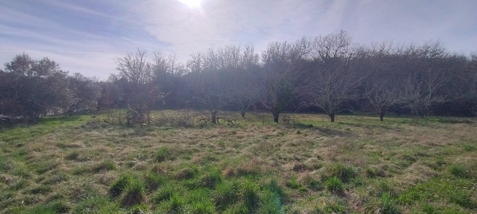 Terrain à bâtir à Orgnac-l'Aven (07150)