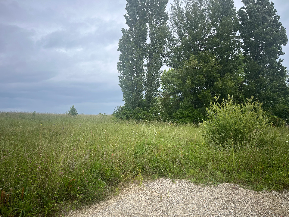 Terrain &agrave; b&acirc;tir &agrave; Abzac (33230)
