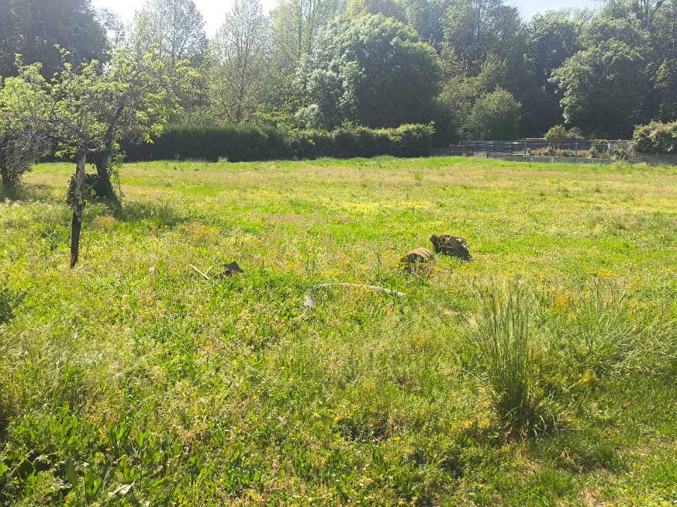 Terrain &agrave; b&acirc;tir &agrave; Nercillac (16200)