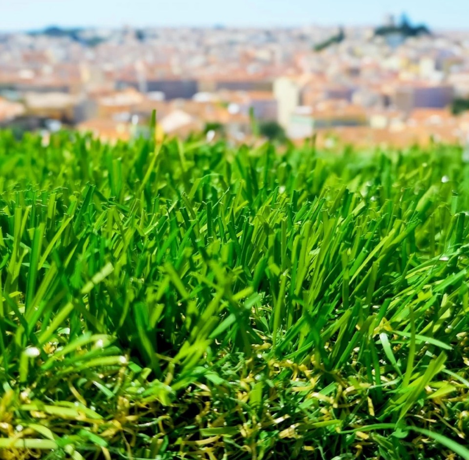 terrain constructible viabilisé de 400m2 disponible à Bry-sur-Marne