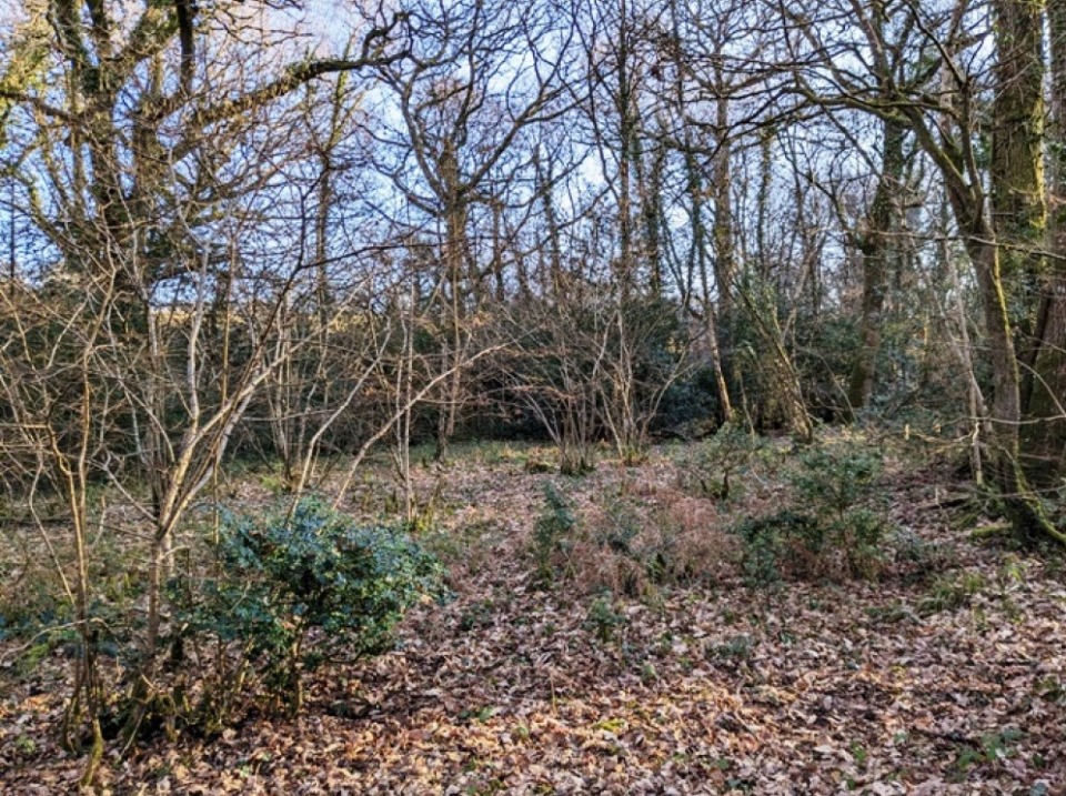 terrain à vendre de 1095m2 à Thoiry (78770)