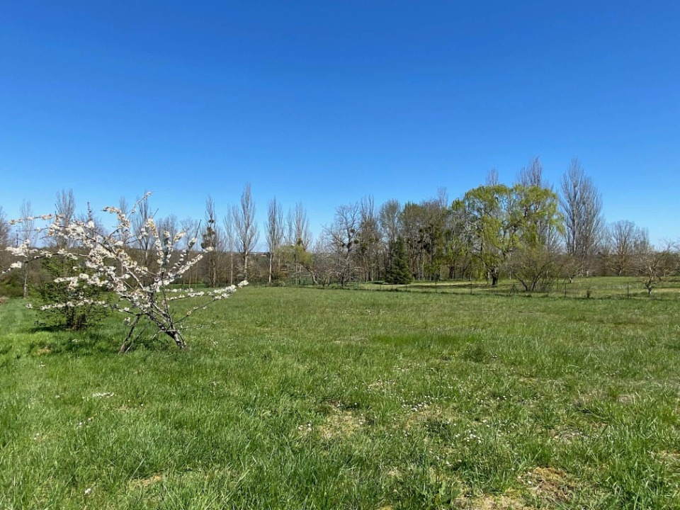 Ravissant terrain à vendre de 400m2 disponible à Écrosnes