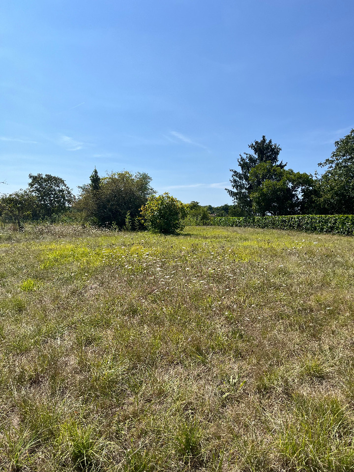 Terrain &agrave; b&acirc;tir &agrave; Gauriaguet (33240)