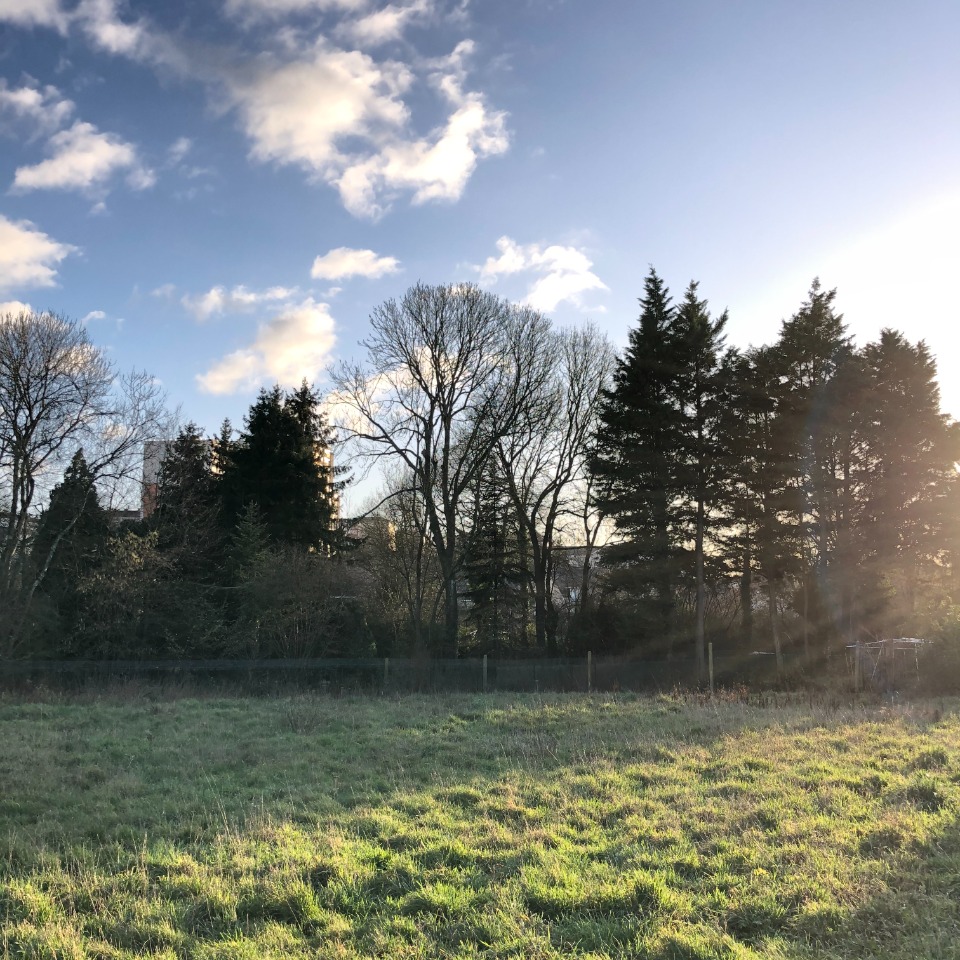 Terrain à bâtir à Laigné-en-Belin (72220)