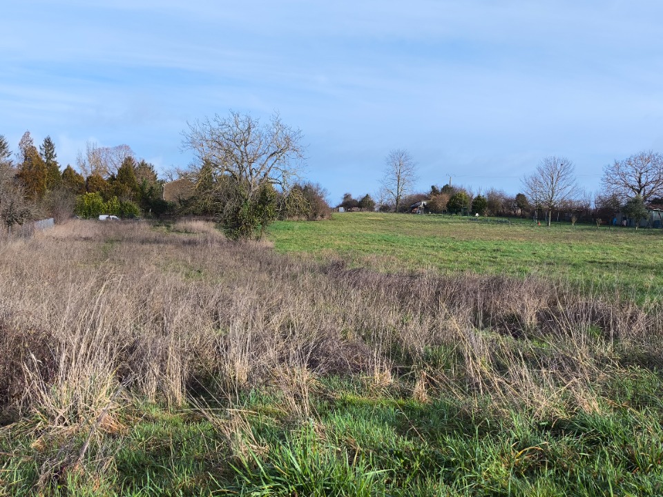Terrain &agrave; b&acirc;tir &agrave; Salles-d'Angles (16130)