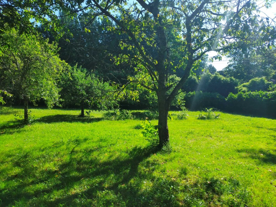 Terrain &agrave; b&acirc;tir &agrave; Baignes-Sainte-Radegonde (16360)