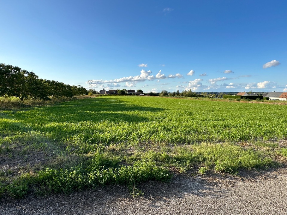 Terrain à bâtir à Luynes (37230)