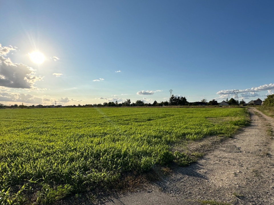 Terrain à bâtir à Sorigny (37250)