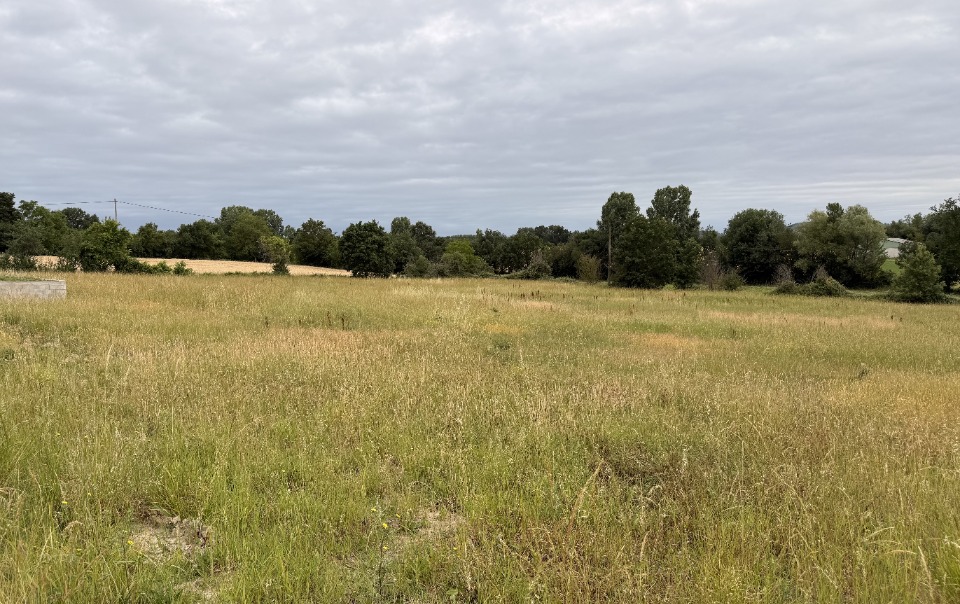 Terrain à bâtir à Blan (81700)