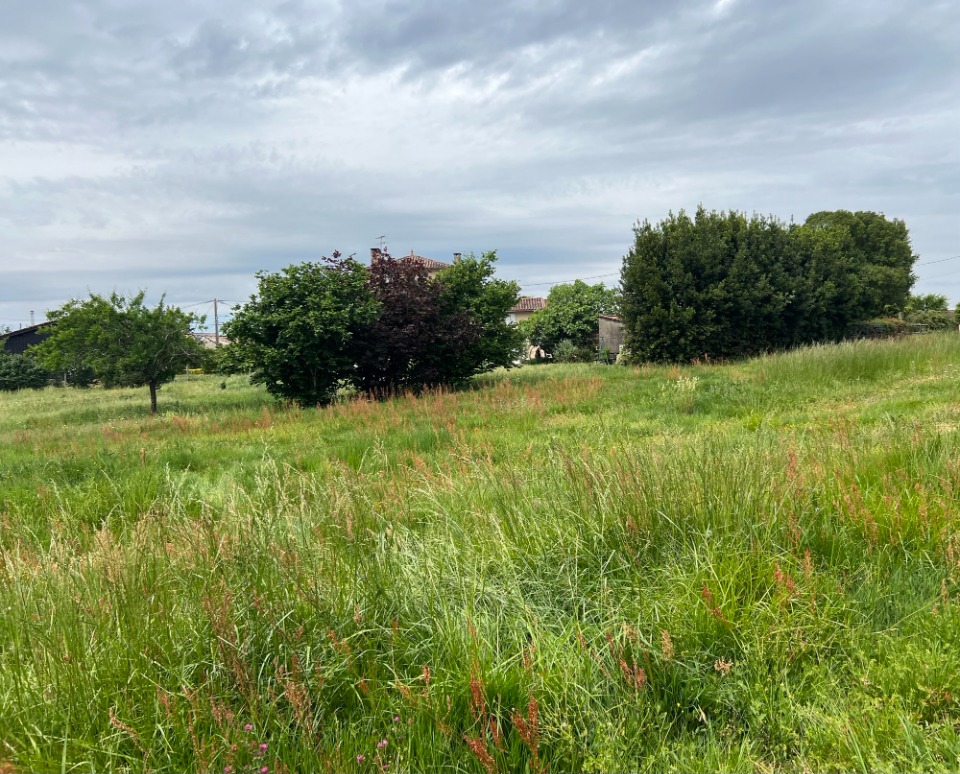 Terrain &agrave; b&acirc;tir &agrave; Villenave-de-Rions (33550)
