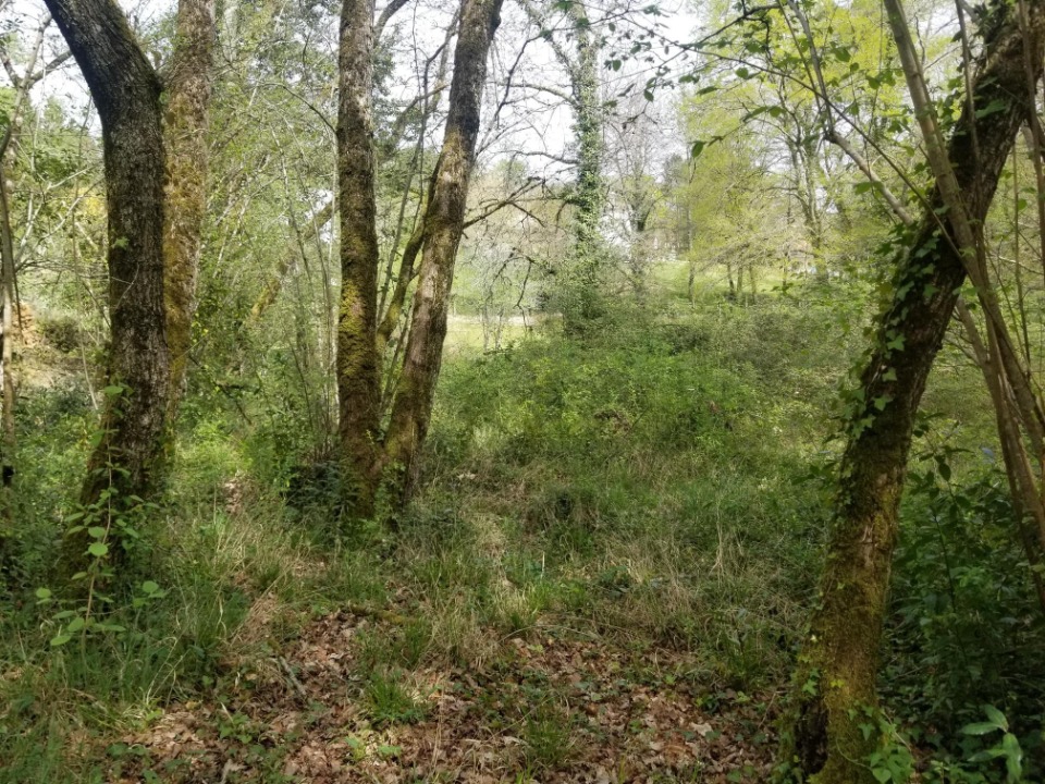 Terrain &agrave; b&acirc;tir &agrave; Salleboeuf (33370)