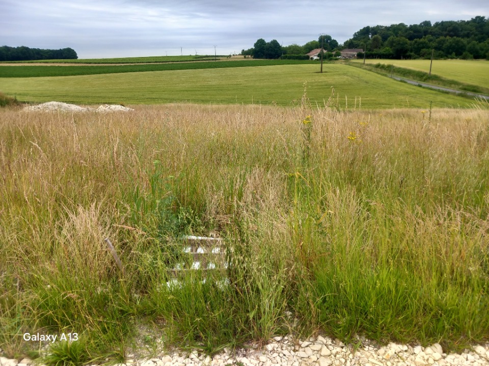 Terrain &agrave; b&acirc;tir &agrave; Saint-Germain-de-Vibrac (17500)
