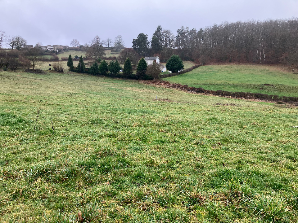 Terrain &agrave; b&acirc;tir &agrave; Lacapelle-Viescamp (15150)