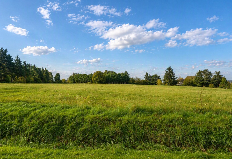 Terrain à bâtir à Mettray (37390)