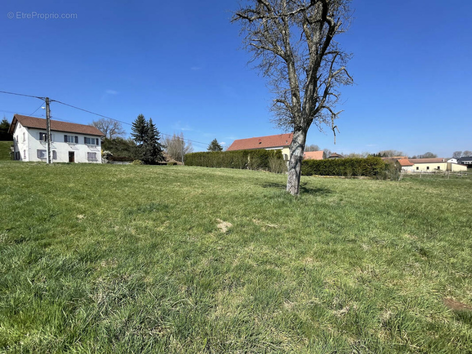 Terrain à bâtir à Montigny-sur-Loing (77690)