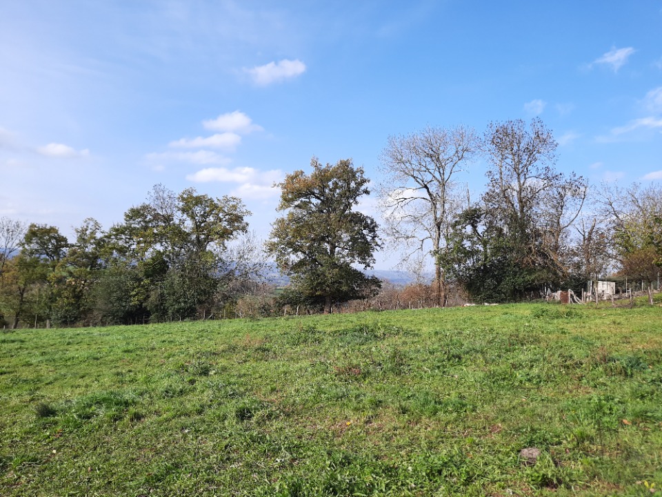 Terrain à bâtir à Montredon (46270)