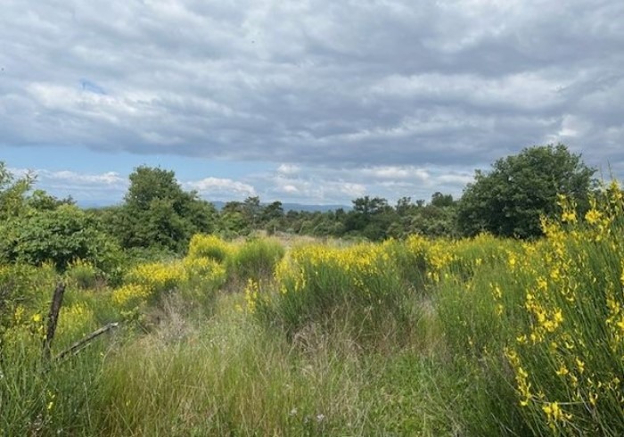 Terrain à bâtir à Montéléger (26760)