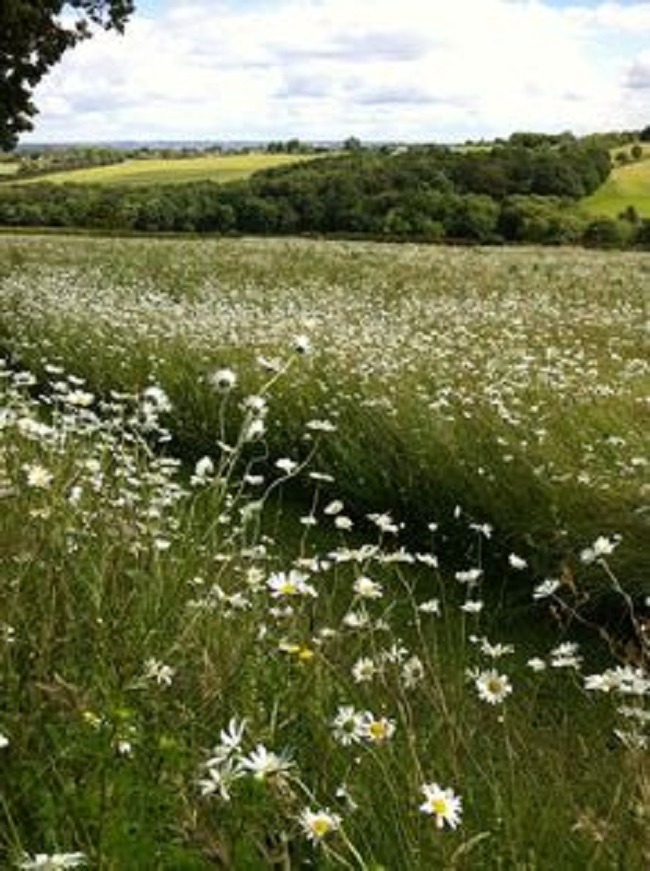Terrain à bâtir à Lignières-de-Touraine (37130)