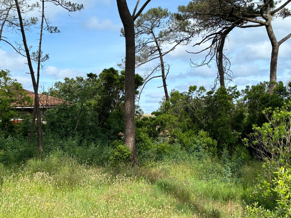 Terrain à bâtir à Andernos-les-Bains (33510)