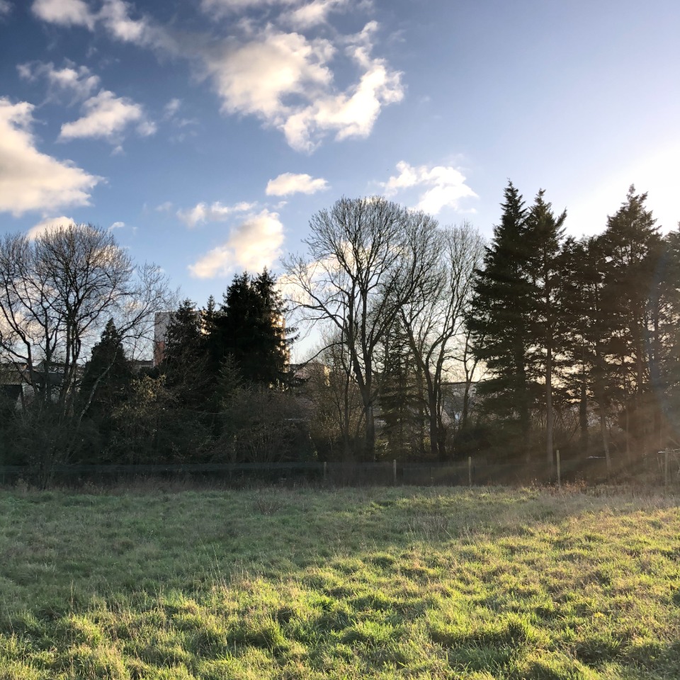 Terrain à bâtir à Fillé (72210)