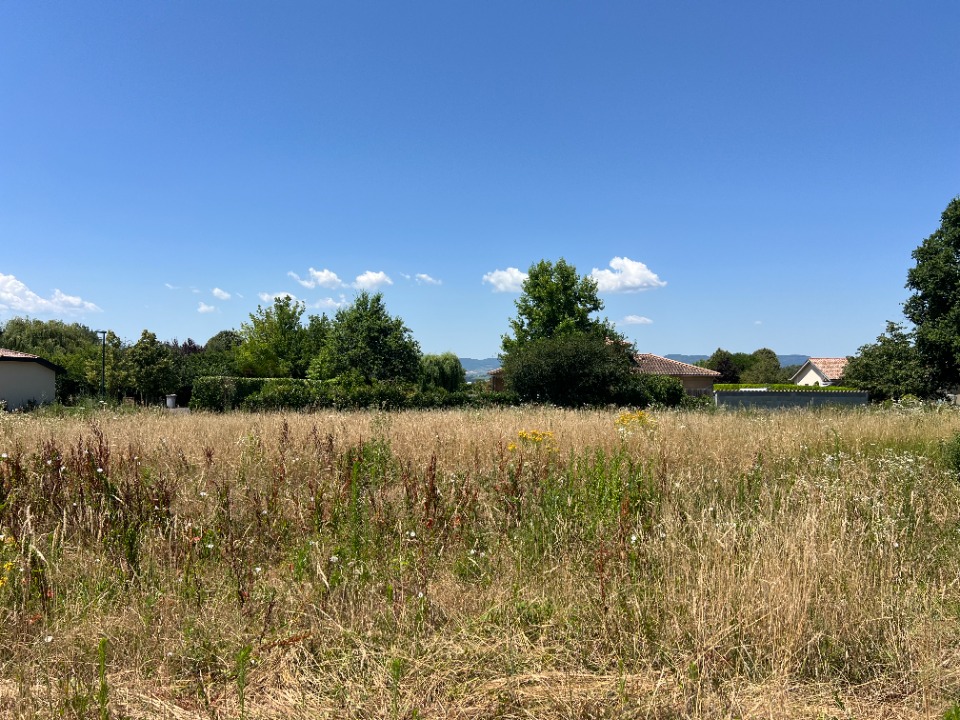Terrain à bâtir à Bey (01290)
