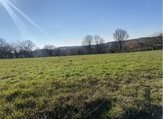 Terrain à bâtir à La Bazoge (72650)