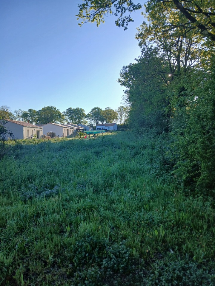 Terrain &agrave; b&acirc;tir &agrave; Les Lucs-sur-Boulogne (85170)