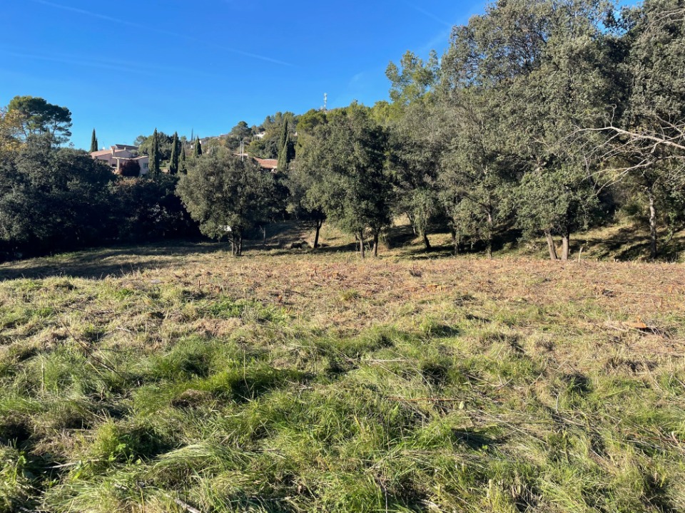 Terrain &agrave; b&acirc;tir &agrave; Taradeau (83460)