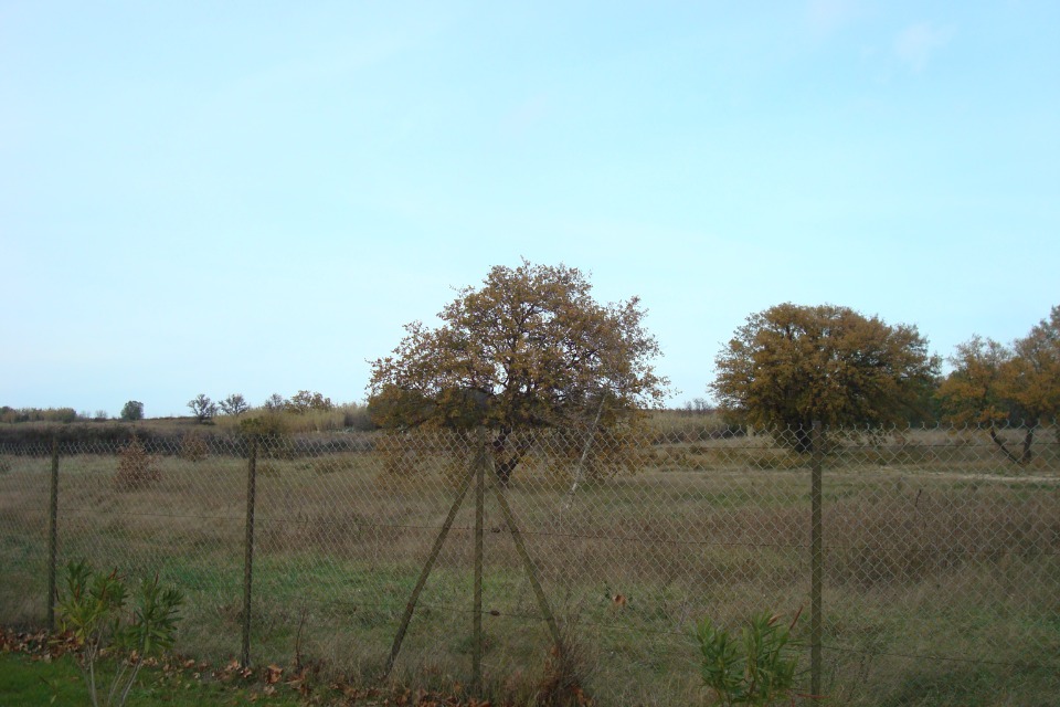 Terrain à bâtir à Tresserre (66300)