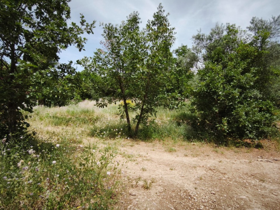 Terrain &agrave; b&acirc;tir &agrave; Belgentier (83210)