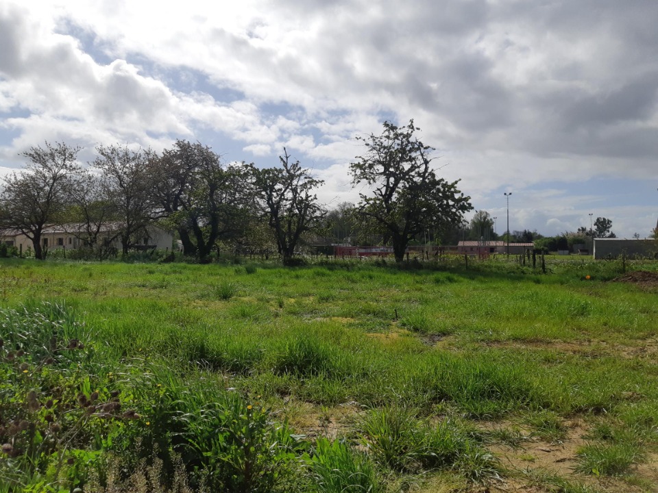 Terrain à bâtir à Bessens (82170)