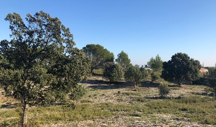 Terrain à bâtir à Lirac (30126)
