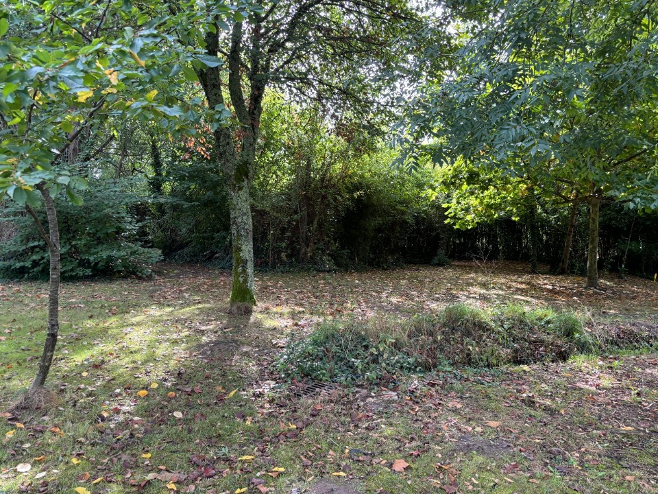 Terrain à bâtir à Andernos-les-Bains (33510)